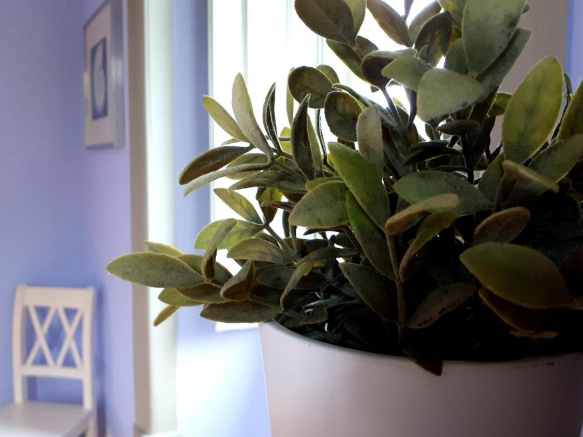 Casa Joya Bed & Breakfast Gois Ngoại thất bức ảnh